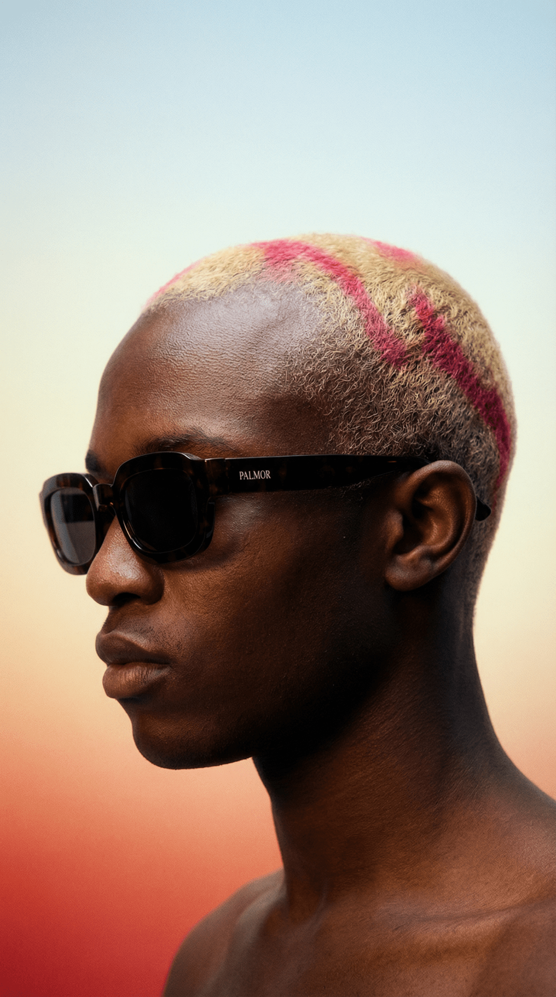 Biscayne - Chesnut - Palmor